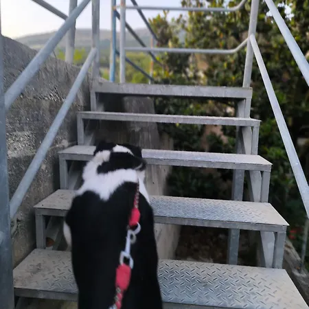 Apartament Dag Podstrana